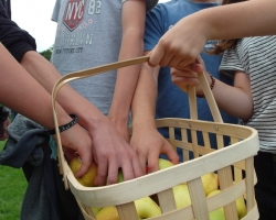 Grójeckimi jabłkami częstowali się dorośli i dzieci
