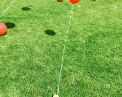 Nasze balony powiewają na wietrze w Solcu Kujawskim